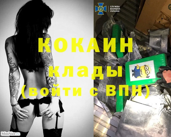 МДПВ Алзамай