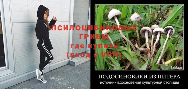 шишки Алексеевка