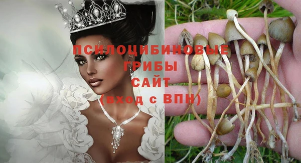 МДПВ Алзамай