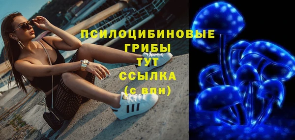 шишки Алексеевка