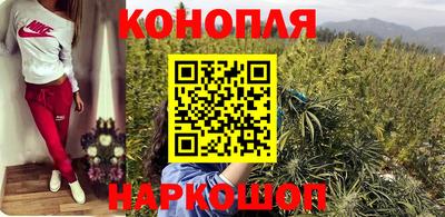 сатива Лесосибирск