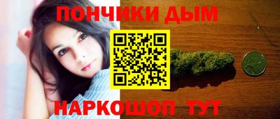 сатива Лесосибирск
