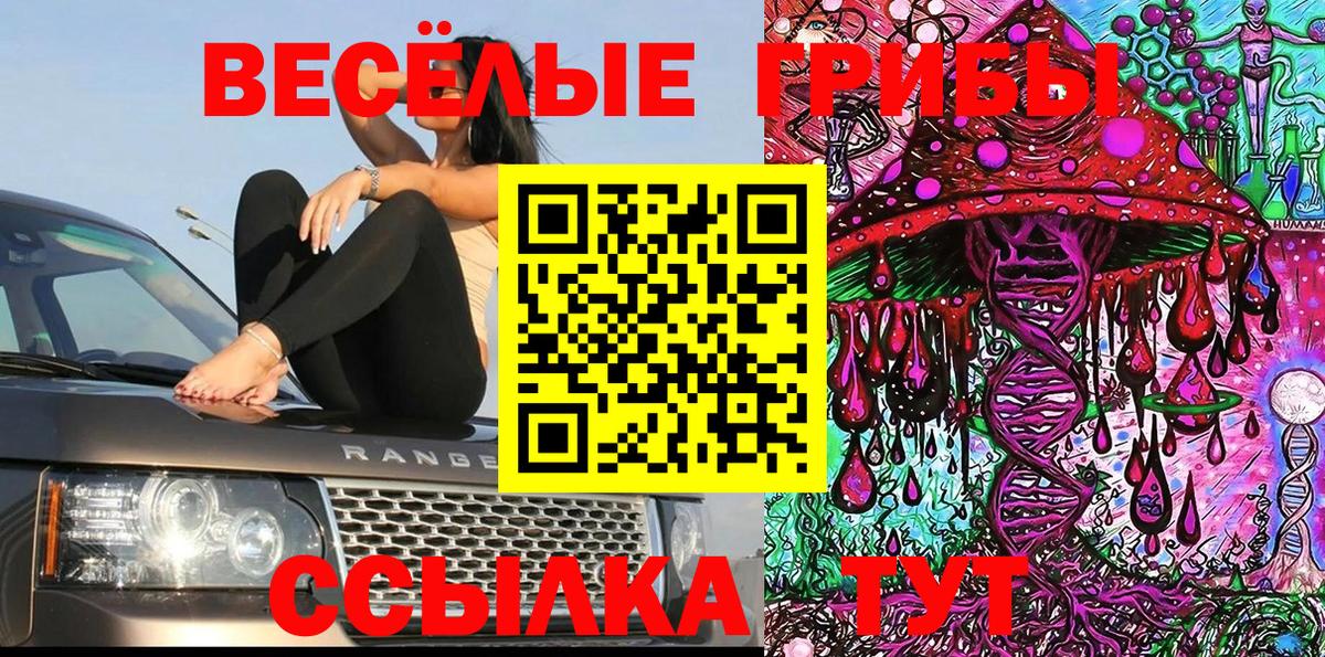 Псилоцибиновые грибы Cubensis Октябрьский