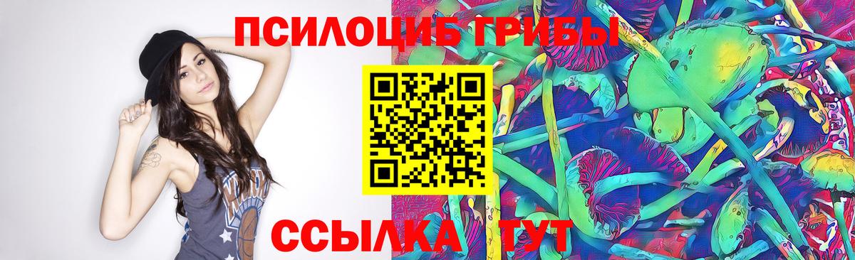 Псилоцибиновые грибы Psilocybe  Вход с VPN  купить наркоту  Октябрьский 